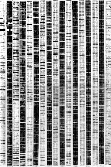 monochrome-6