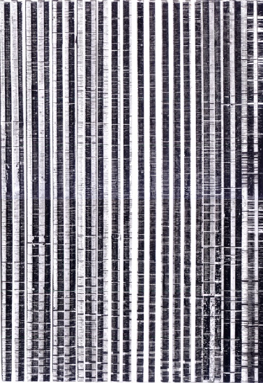monochrome-5