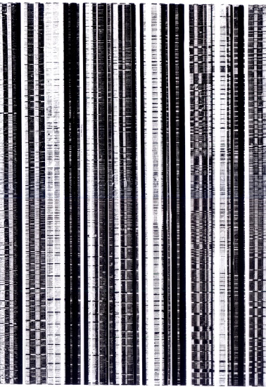 monochrome-4