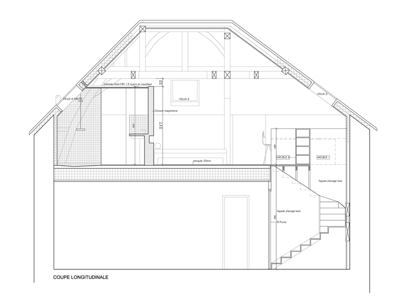 coupe longitudinale