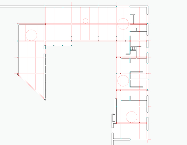 squelette structurel