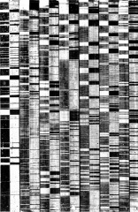 monochrome-7
