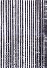 monochrome-5