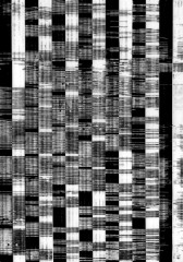 monochrome-3