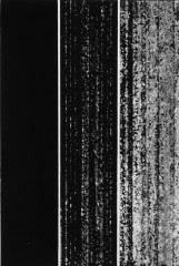 NB-16