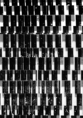 détail-monochrome-8